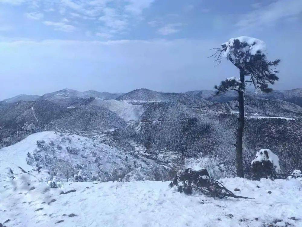 2022四明山踏雪224四明山又又又下雪了登四明山華蓋山賞林海雪原風景