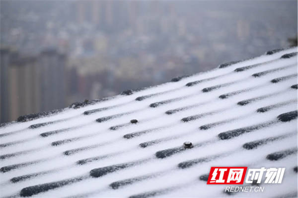 冰凌|湖南蓝山：虎年开春降瑞雪