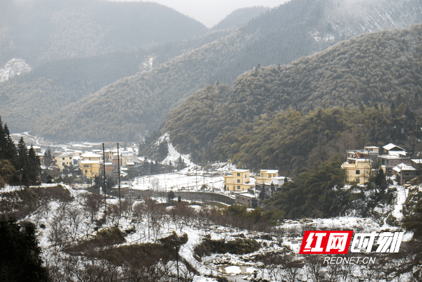 雪景|湖南蓝山：春雪如期而至 雪景美不胜收