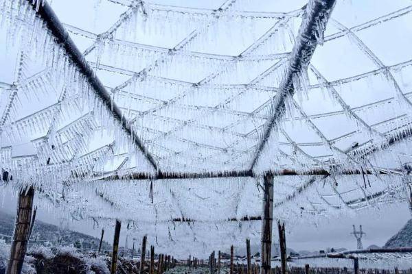 广东|万物皆可“冰墩墩”！广东多地迎来雾凇冰挂“雪景”奇观，美不胜收