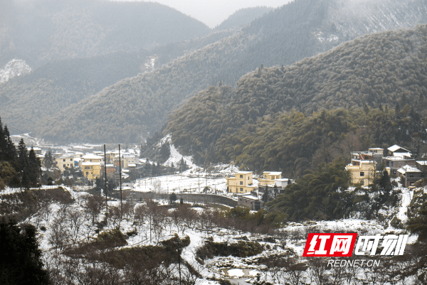 树作|湖南蓝山：春雪如期而至 雪景美不胜收