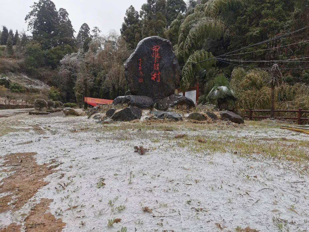 美龙岩多地喜提雪景天宫山莲台山红尖山图