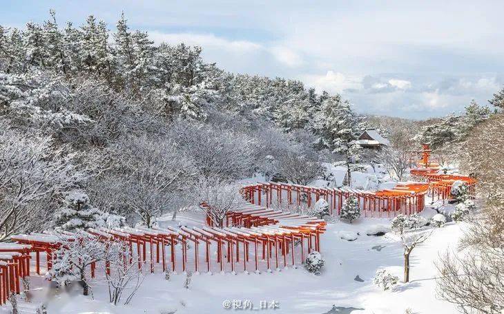 青森县的冰雪千本鸟居北海道等地迎来暴风雪