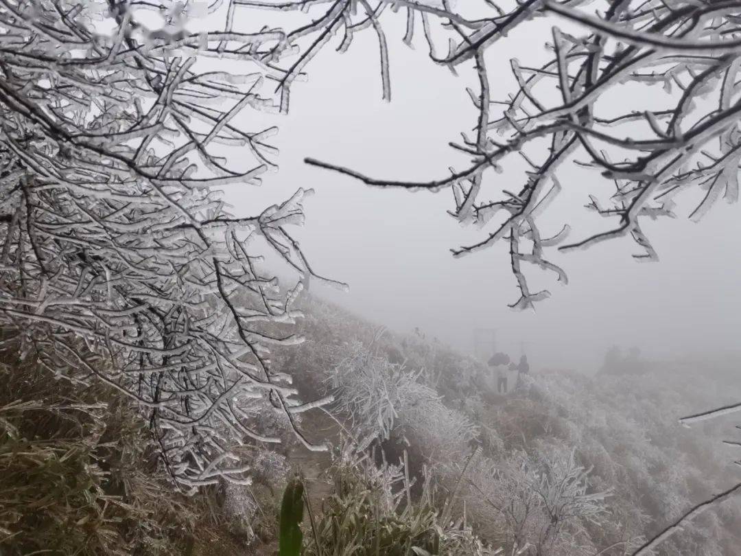 美龙岩多地喜提雪景天宫山莲台山红尖山图