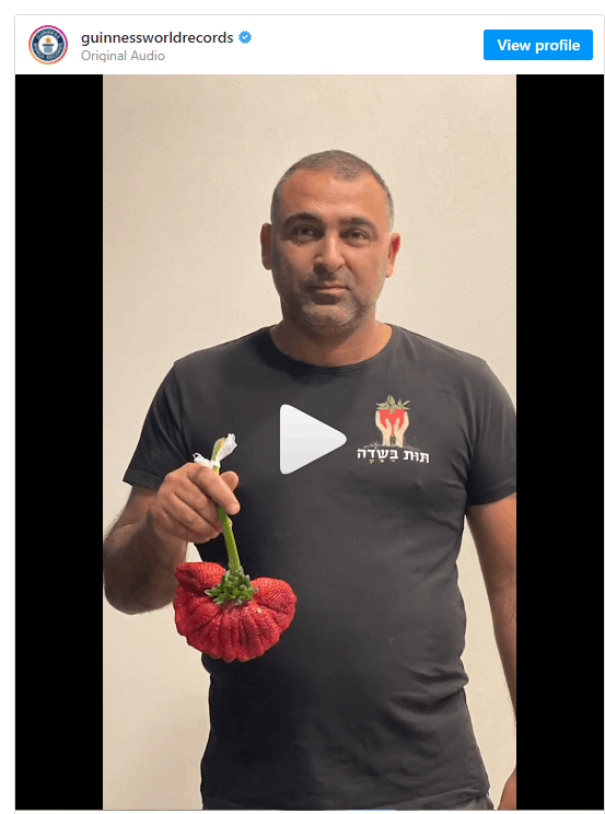 以色列农民种出“世界上最重的草莓” 打破吉尼斯纪录！