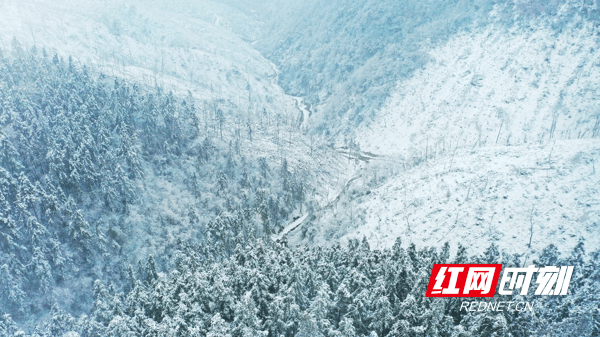 雪景|湖南新田：九峰山初春雪景醉游人