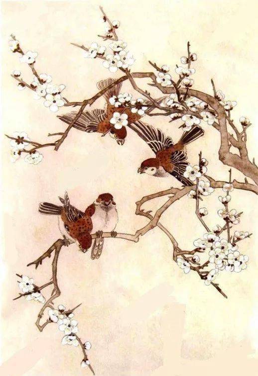 工笔画梅雀图绘画设色步骤教程