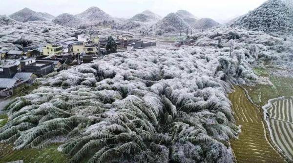 广东|万物皆可“冰墩墩”！广东多地迎来雾凇冰挂“雪景”奇观，美不胜收