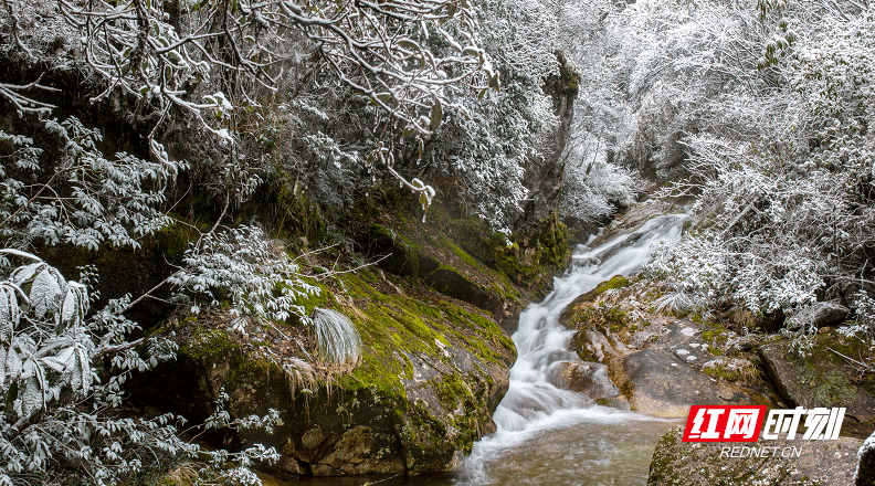 雪景|炎陵云上大院又又又下雪了，宛若一幅雪景山水画