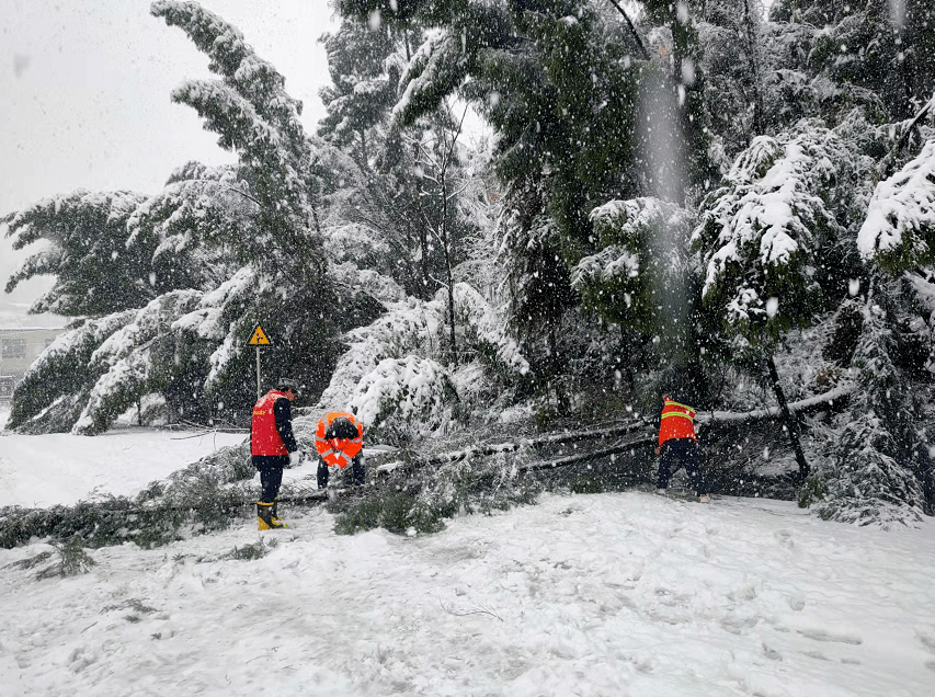 大雪转多云图片