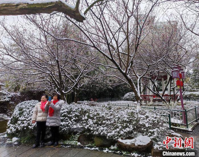 雪景|贵州大雪又“到货”：市民拍雪景 享雪趣