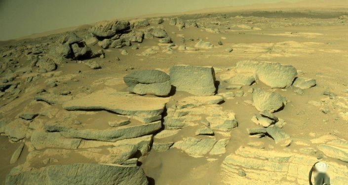 超过1年,毅力号不断传回荒凉火星景象,周围毫无生机