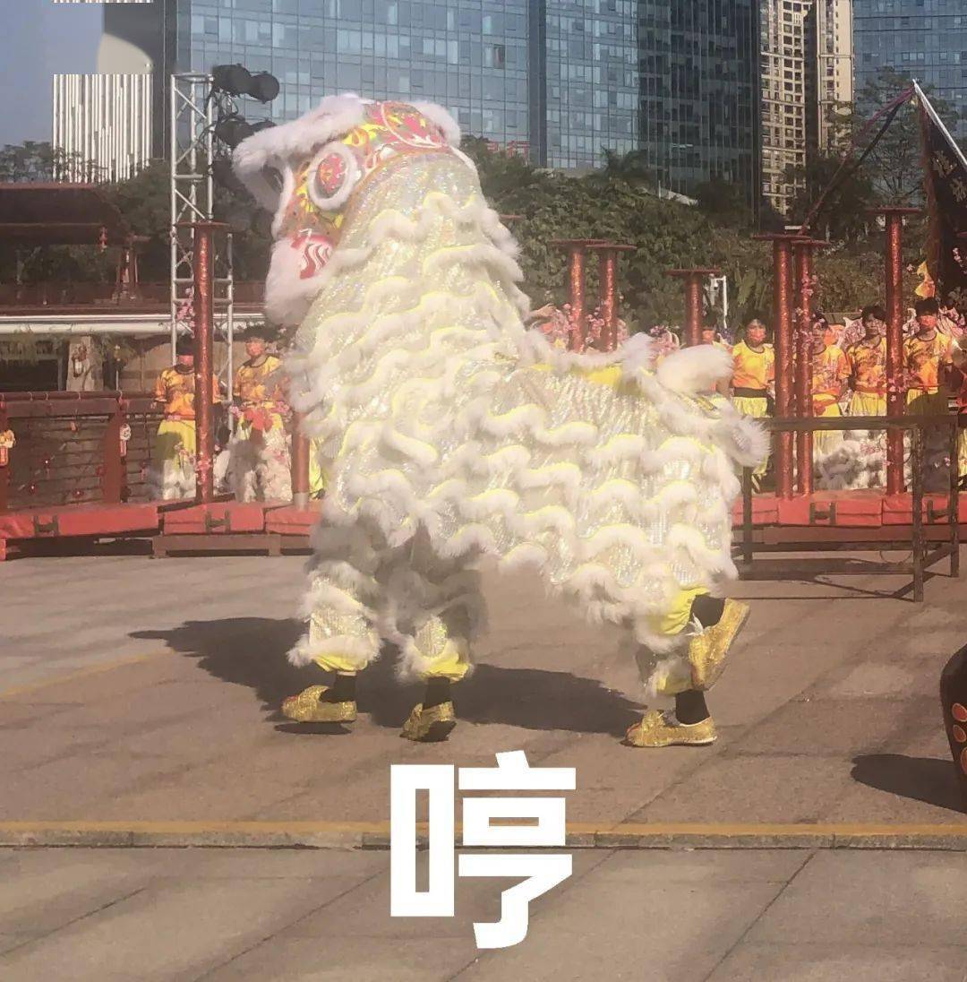它有↓都是行走的"表情包"无论是在台上还是台下是桂城醒狮与冰墩墩的
