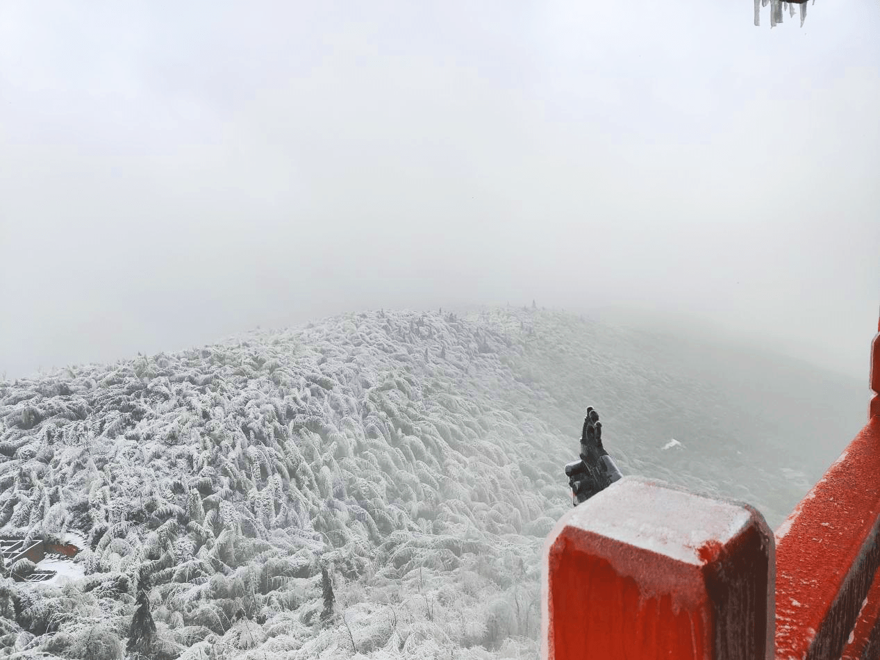 显得|耒阳：蔡伦竹海春光雪景如人间仙境