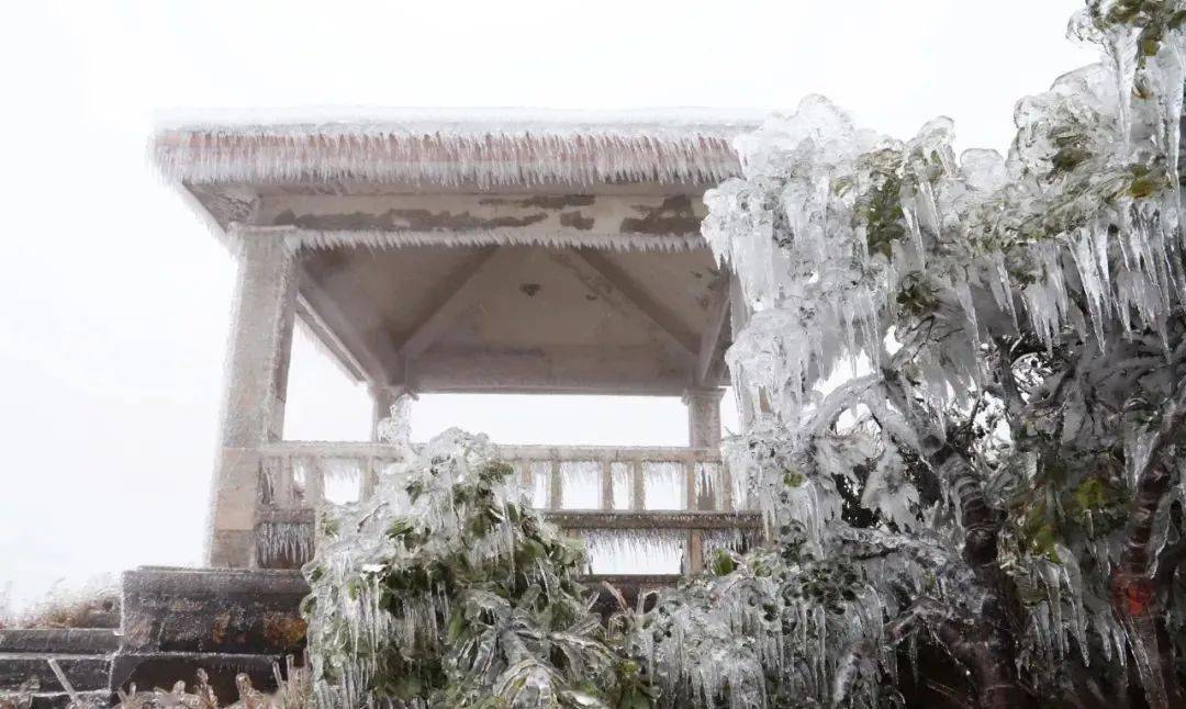 广州速冻,从化这里有比雪更好看的"冰挂"!_五指山_天气_大自然
