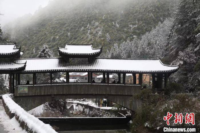 张明珉|浙江百山祖国家公园迎降雪 风景如画