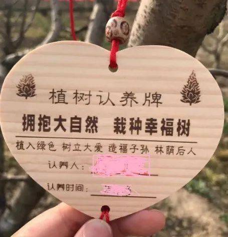 认领一棵树,共享田园梦