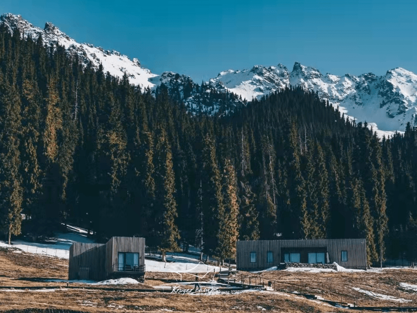 克鲁格营地野奢酒店 | 此生值得一去的"纯净之地"!