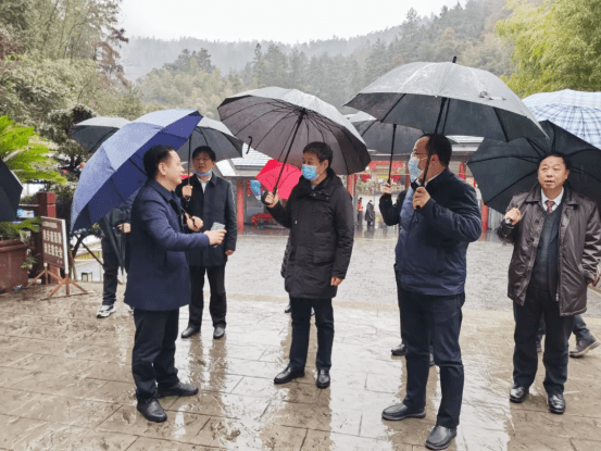 邵阳市委书记严华一行到武冈调研文旅融合工作_旅游_景区_乡村