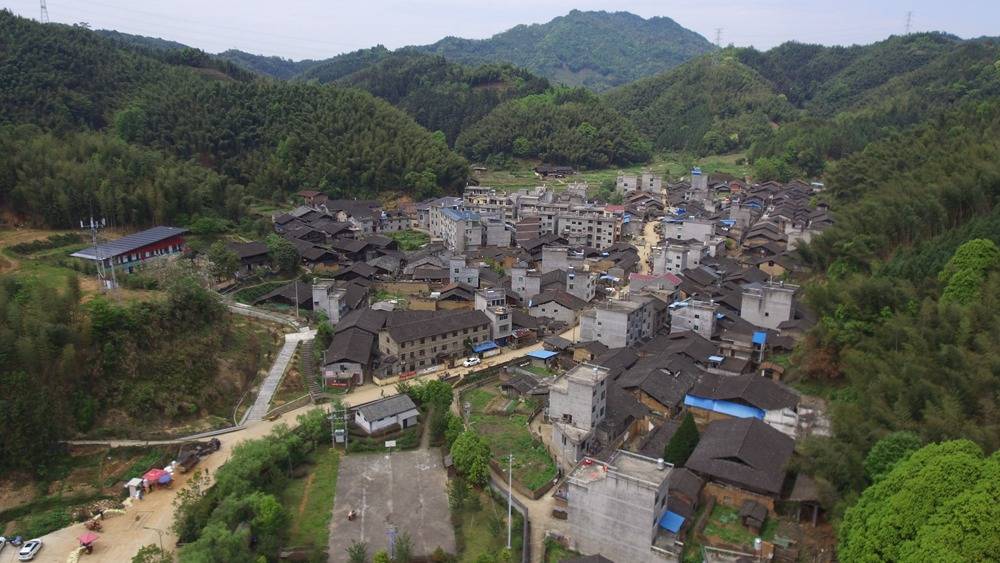 建瓯:福地沶村别样"红"_杨荣_万木林_建设