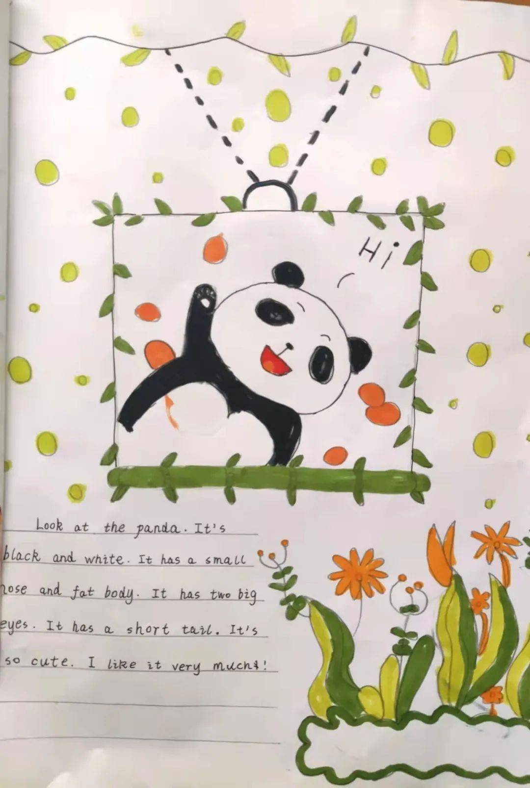 巧创英语绘本,悦览缤纷世界 ——记白沙小学"创新寒假作业之第二届