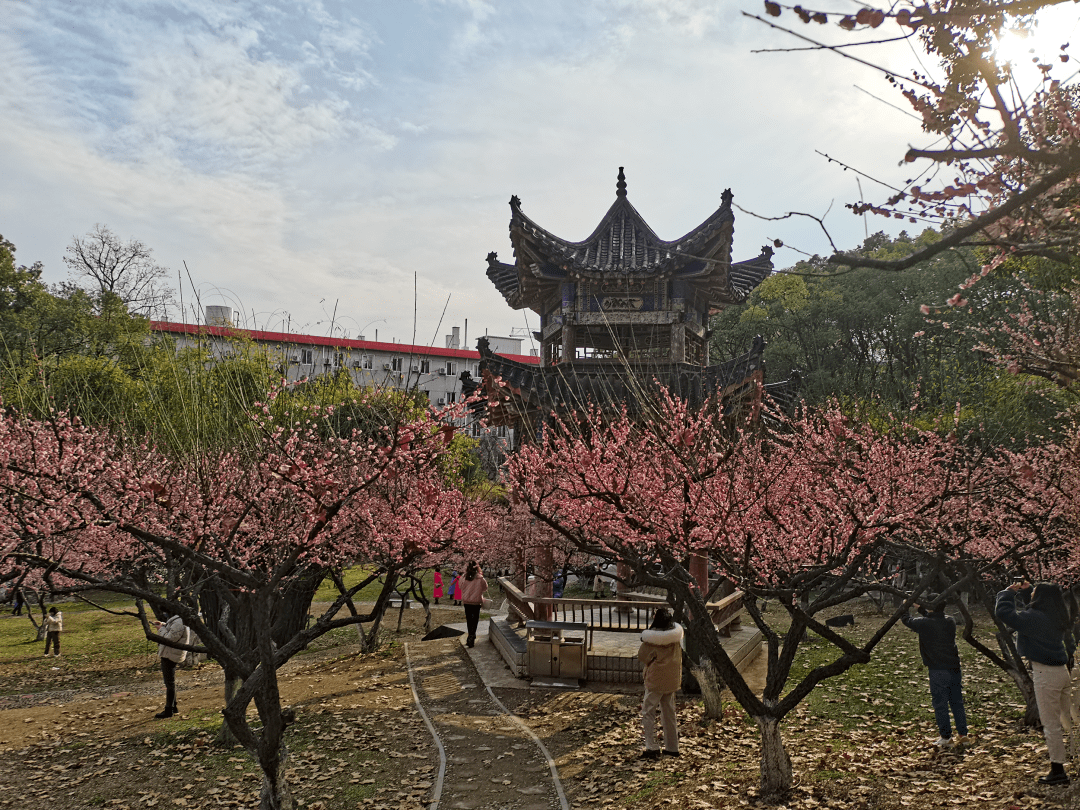 开学了!——关于开学,skyers有话说_武汉_学期_桂子山