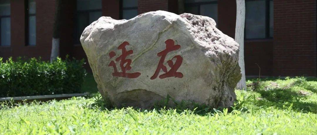 衡水一中 | 赵雅萱:说说我的班长董丁玮_班级_同学_处理