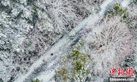 森林|航拍江西新余森林公园雪景如画 宛如“北国风光”