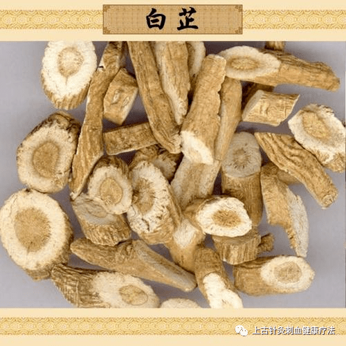 那么这种白芷有什么功效与作用呢?下面我就来具体