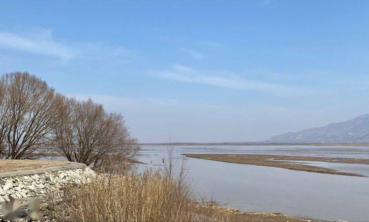 春天里的陕西黄河大荔段初春美景