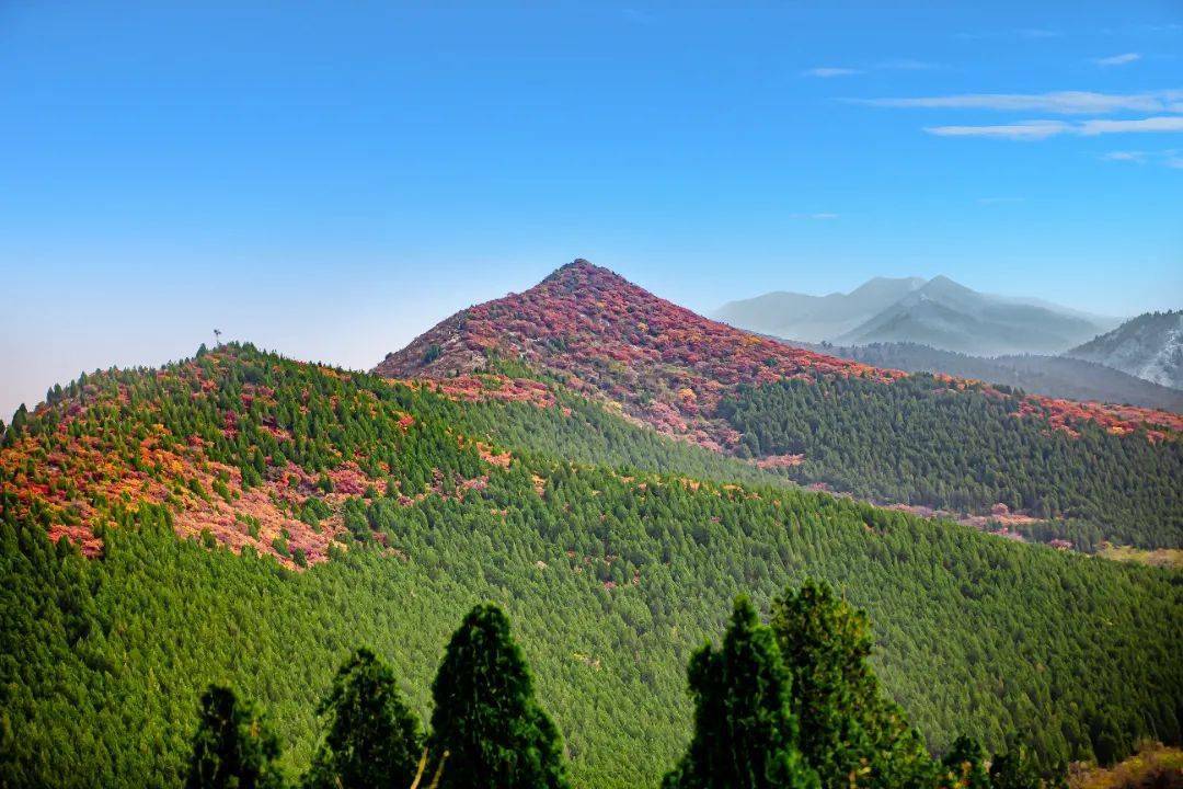 济南围子山郊野公园图片