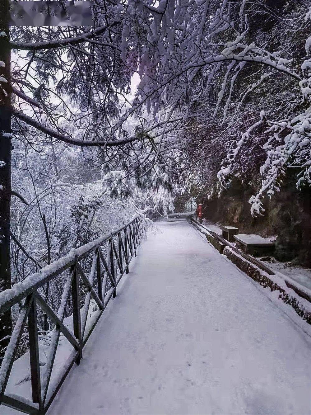 美了大理各地最新雪景大片来袭快收藏多图视频