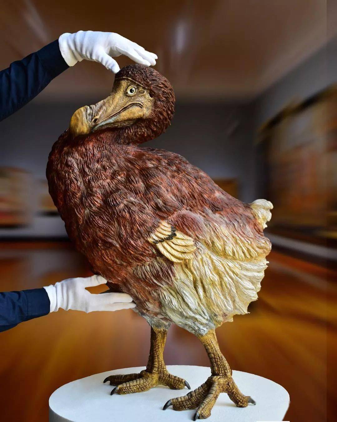 michelevitaloni超写实动物雕塑