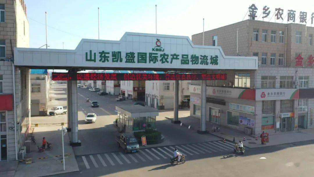 发挥金乡大蒜国际交易市场,凯盛物流园龙头带动作用,面向全国全球集聚