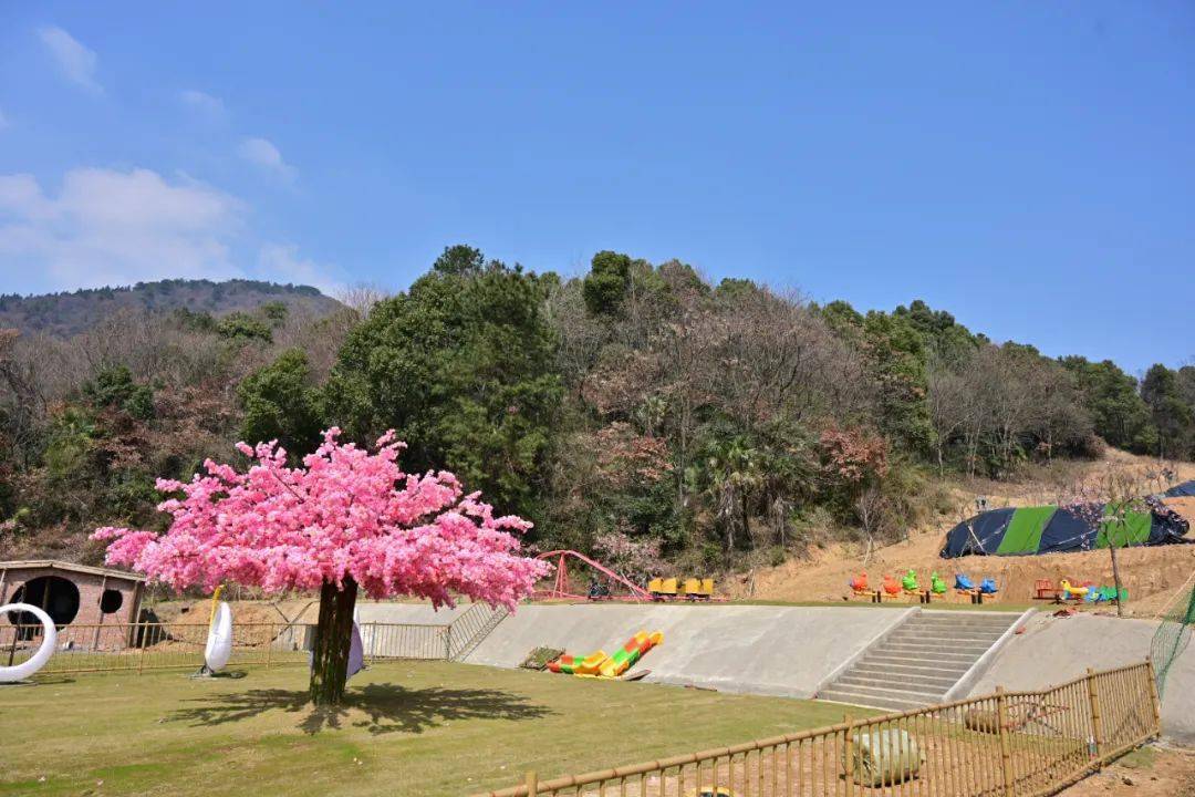 常德市蔡家岗樱花园图片