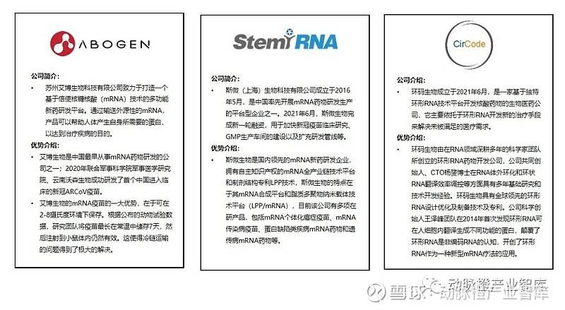 新冠、肿瘤mRNA管线占比过半,环状RNA成临床潜力股