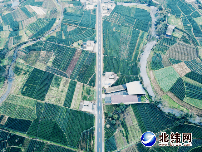 路通人和产业旺阔步迈进新生活名山区前进镇续写乡村振兴新篇章
