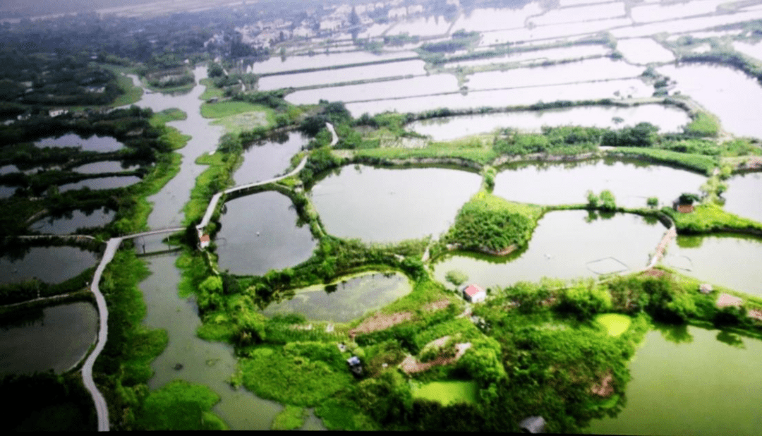 塘浦圩田是古代 太湖先民变涂泥为沃土的独特创造,是集水利,经济,生态