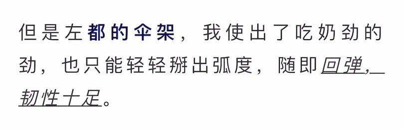 国产硬抗8级大风的国产硬核伞，质保十年！