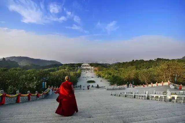 碧桂園春遊美食之旅順德龍江碧桂園西樵山踏青順德美食￥499元間套2大