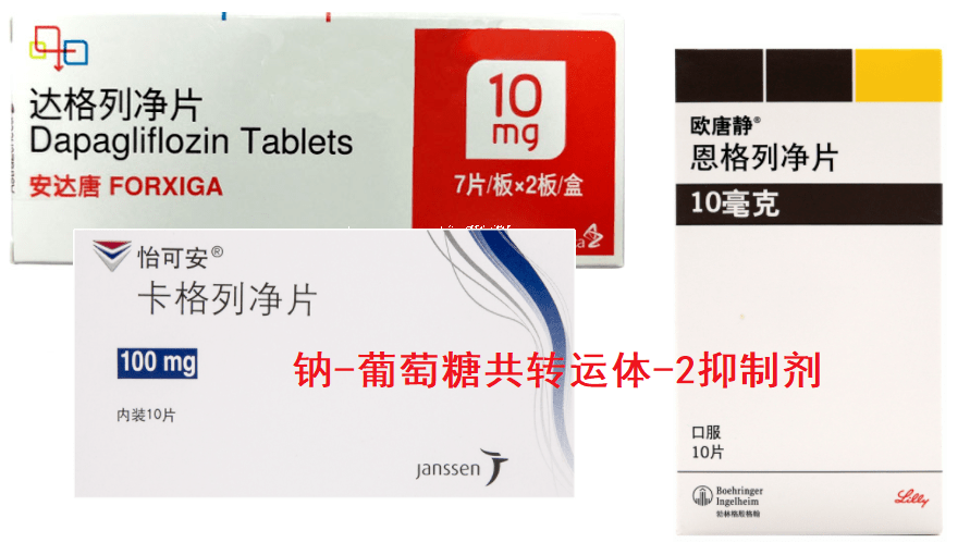 2型糖尿病治疗的口服降血糖药物