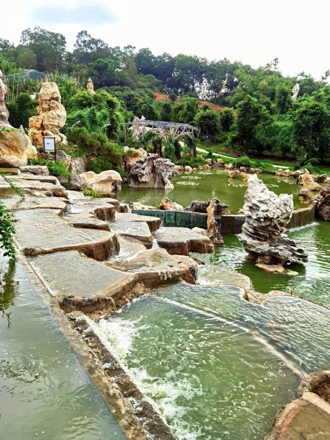 凤凰_河谷_奇石