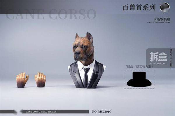 售价MOSTOYS 百兽首头雕 1/6卡斯罗犬头雕可动 兵人配件