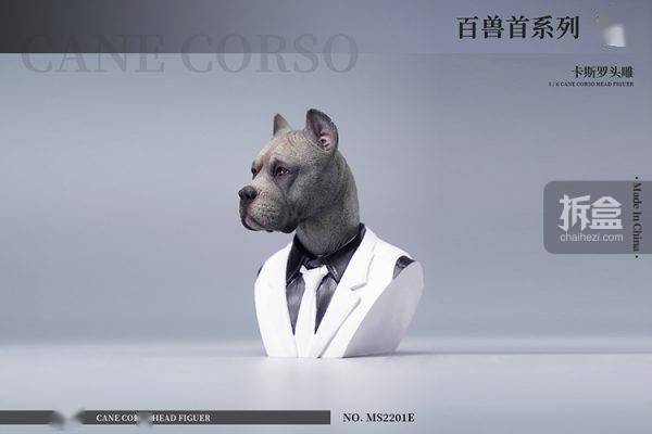 售价MOSTOYS 百兽首头雕 1/6卡斯罗犬头雕可动 兵人配件