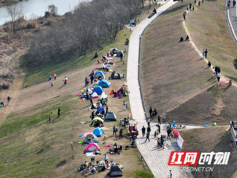 太阳|壮观！太阳一出来，草地上就“长”满了快发霉的湖南人