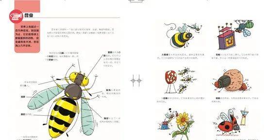 重磅|【童书】百年科普名社重磅力作，《法国拉鲁斯儿童百科全书》一本拯救爸爸妈妈们的书！