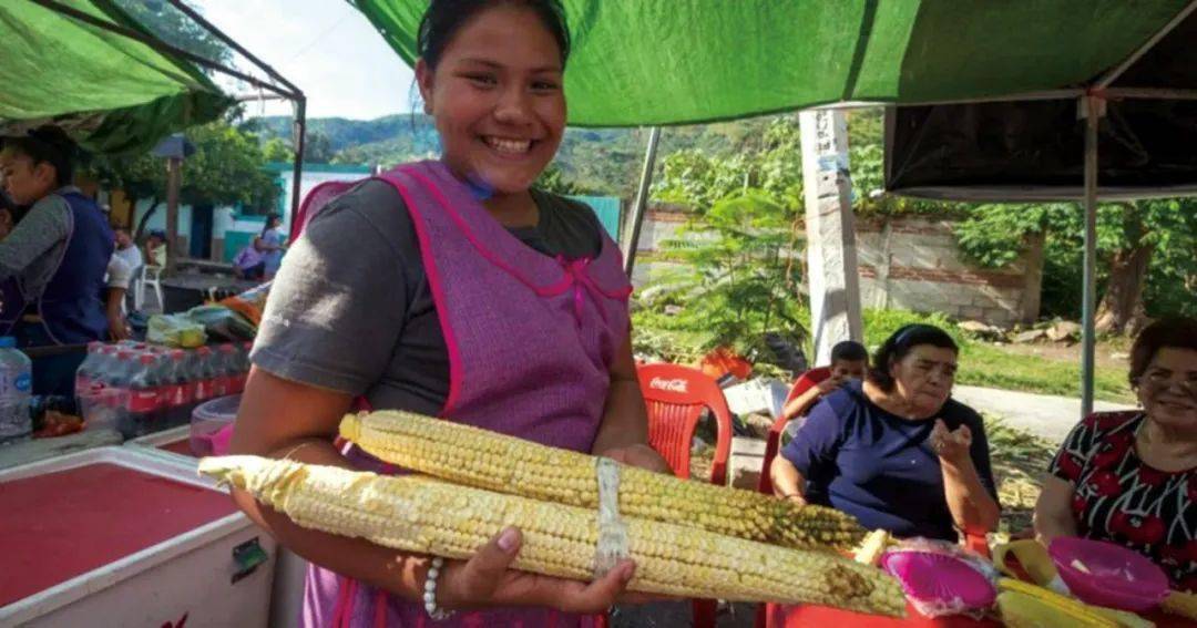 拥有64种玉米的墨西哥人为何将其奉为神物