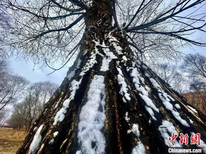 春雪|青海黄河长廊：披春雪薄纱，万籁俱寂