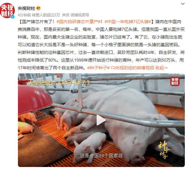 中國一年吃掉7億頭豬,梁平人有多愛吃豬肉?_招聘_統計_基本