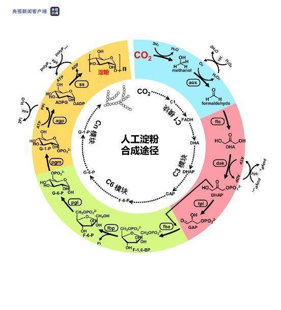 中国|2021年度中国科学十大进展发布